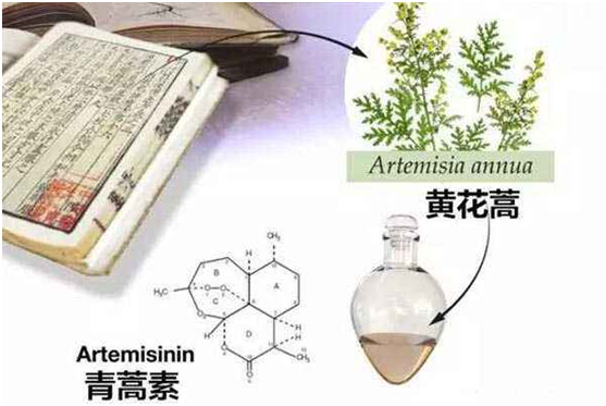 星空平台,星空(中国)：向中医药看齐，与世界共享中医药文化(图1)